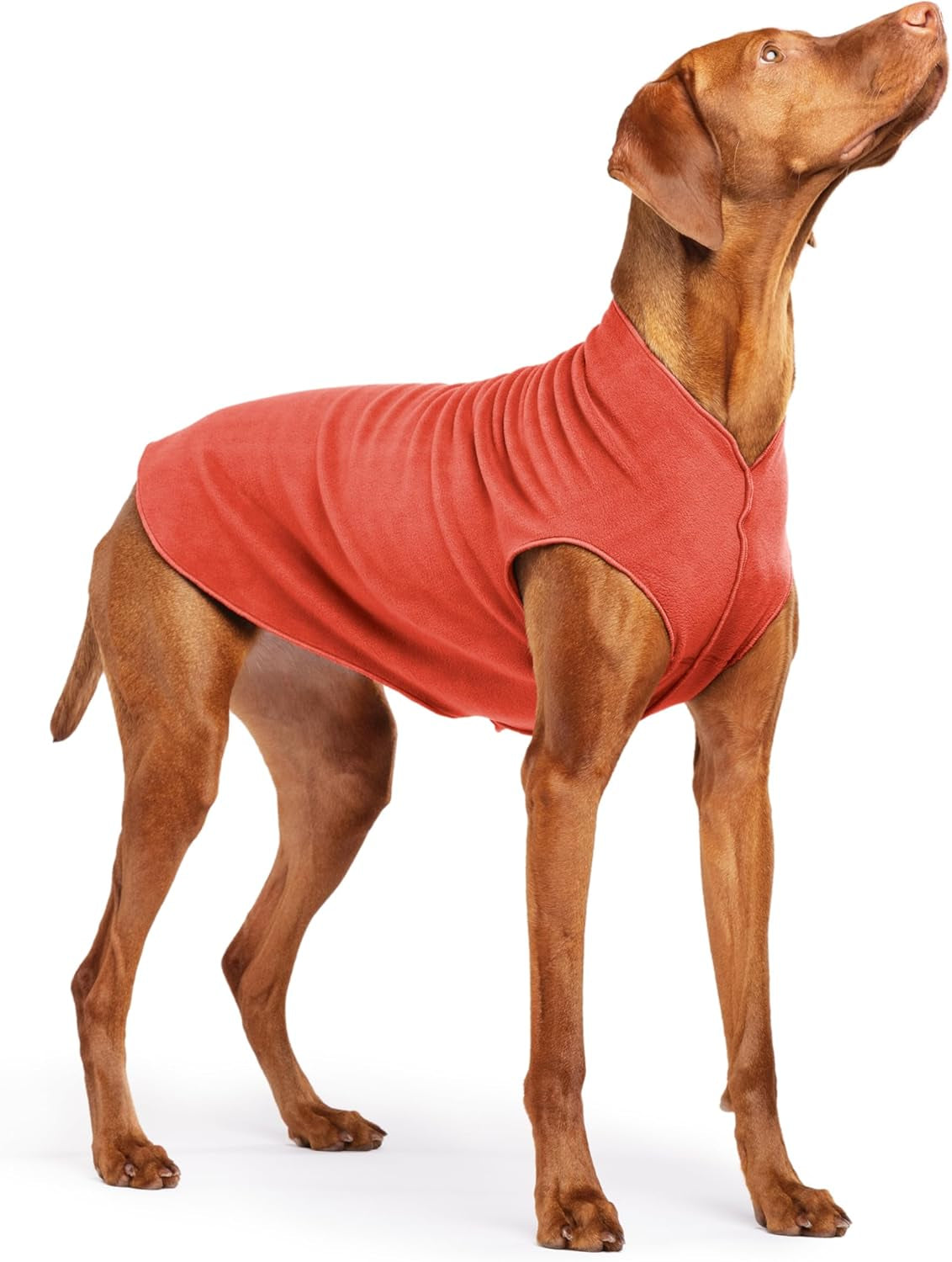 Goldpaw Stretchy Fleece Jacket for Small Dogs - Super Soft, Warm Dog Sweater - Pet Sweater Vest for Fall and Winter - Canine Clothes Made in the USA - Machine Washable - Red - Size 12