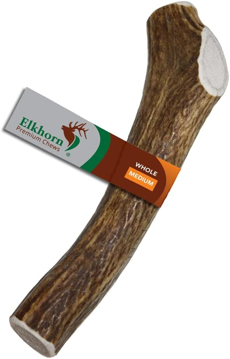 Small Whole Single Pack (For 10-30 Lb Dogs and Puppies) Premium Grade Elk Antler for Dogs (1 Piece) Sourced in the USA