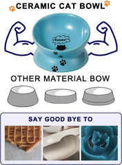 Elevated Cat Food Bowl, Ceramic Raised Cat Bowl, Tilt Angle Protect Cat'S Spine, anti Vomiting Cat Dish, Backflow Prevention, Lake Blue