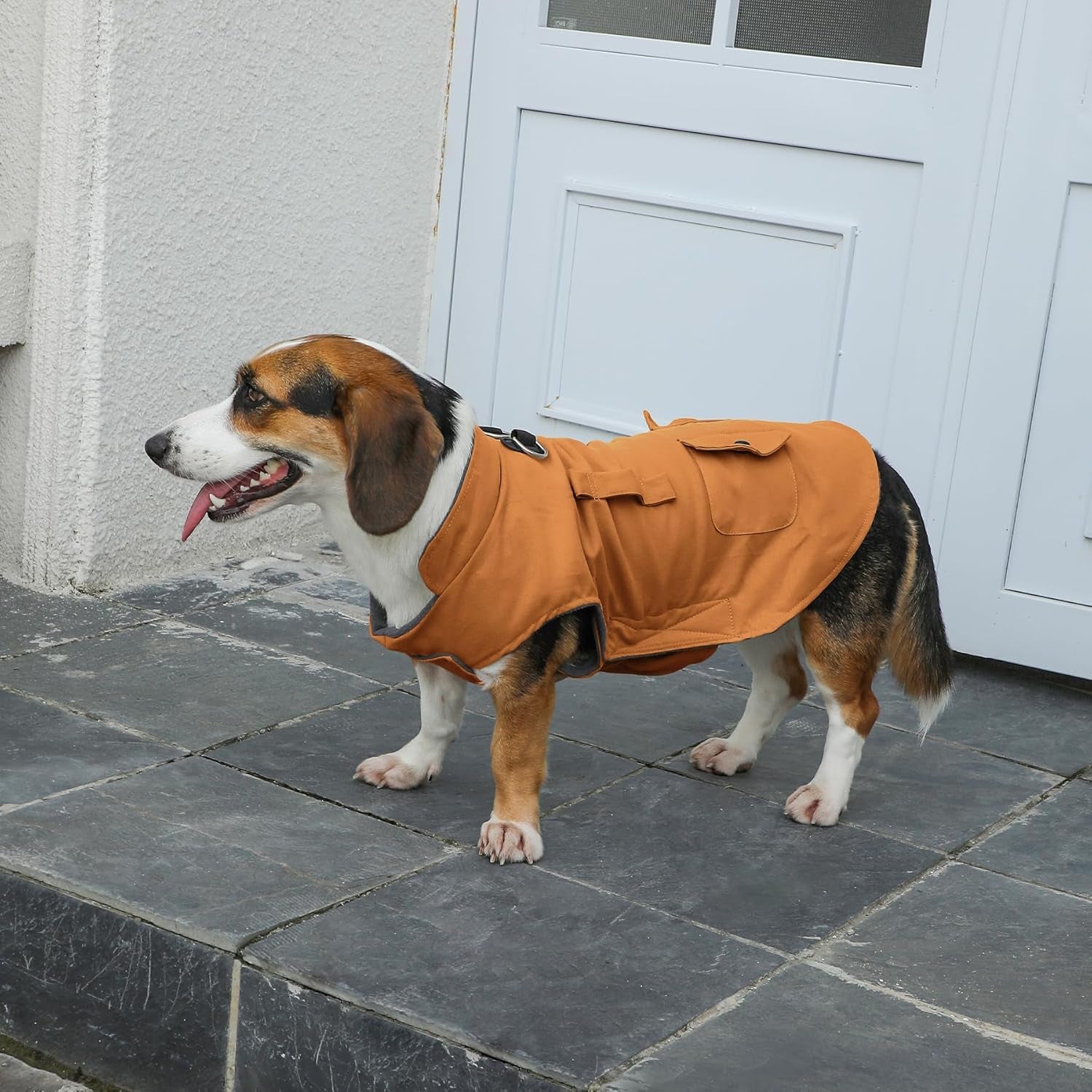 Workwear Style Dog Jacket with Built-in Harness
