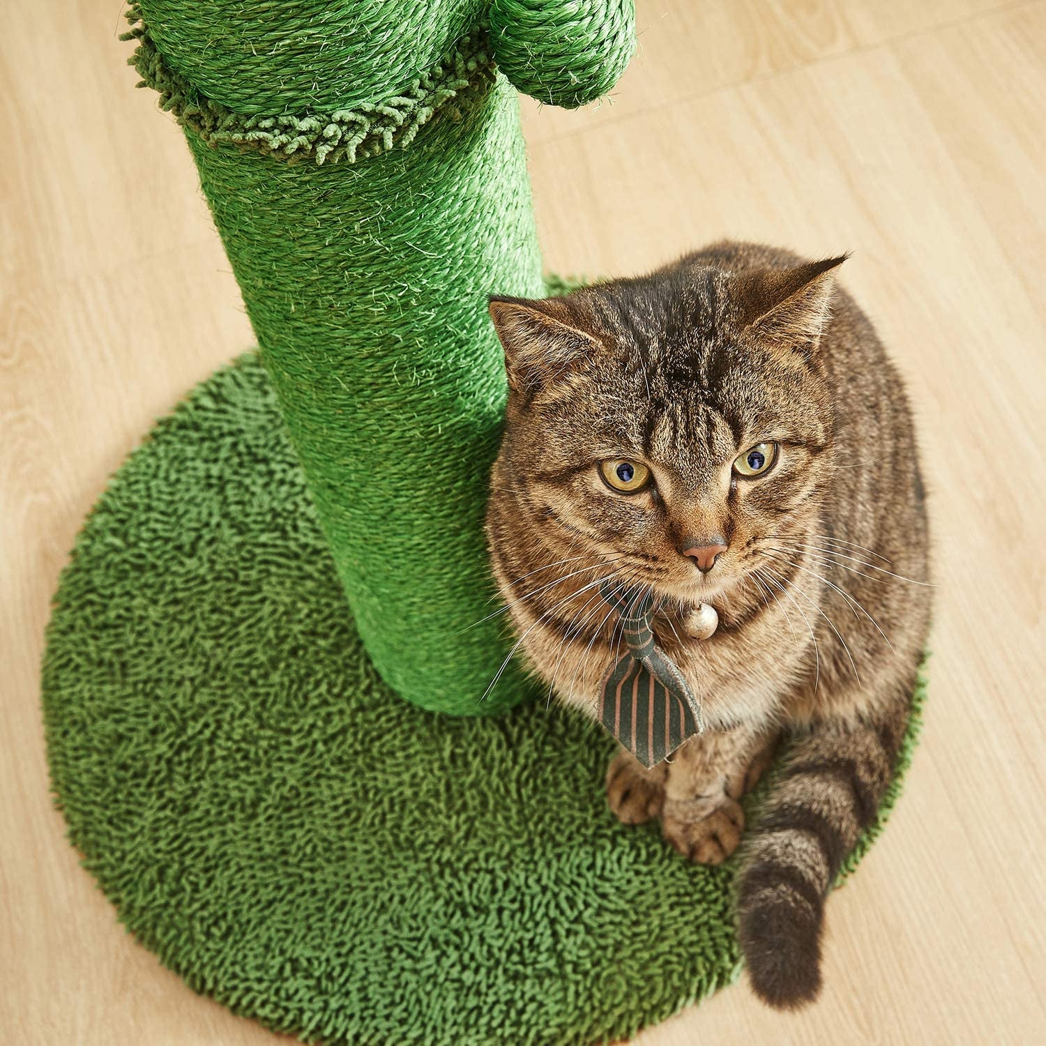 34" Cactus Cat Scratching Post with Dangling Ball for Cats Large Version Green