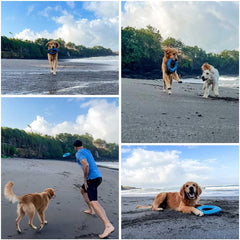 Superchewy Tough Floating Dog Water Toy Strong Natural Rubber | Great Dog Fetch Toy | Pool Swimming Toy for Puppy| Durable Training Toy for Non-Aggressive Chewers