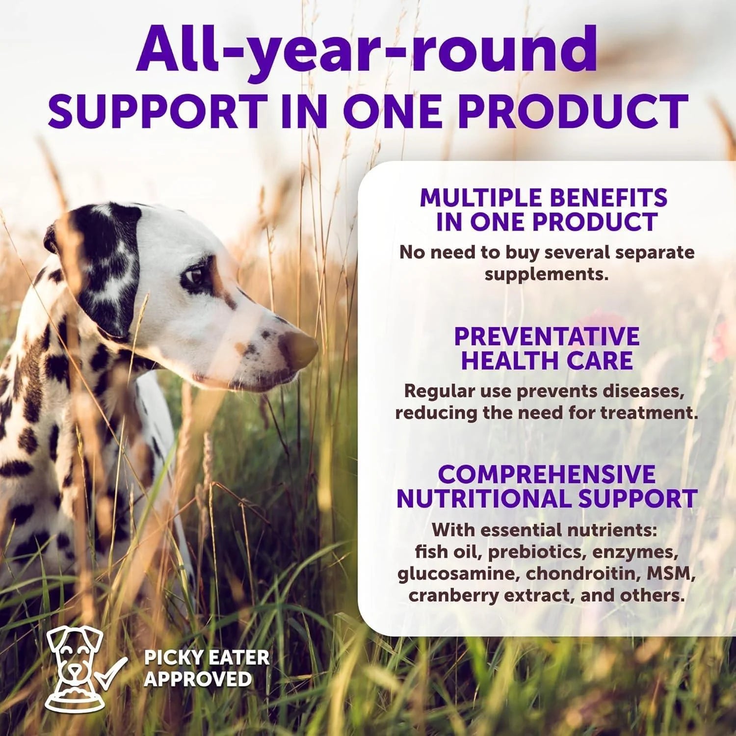 20 in 1 Dog Multivitamin with Glucosamine Chewable Dog Vitamins and Supplements Senior & Puppy Multivitamin Chews for Pet Hip & Joint Support Immunity Mobility Skin Digestion 70 Soft Treats